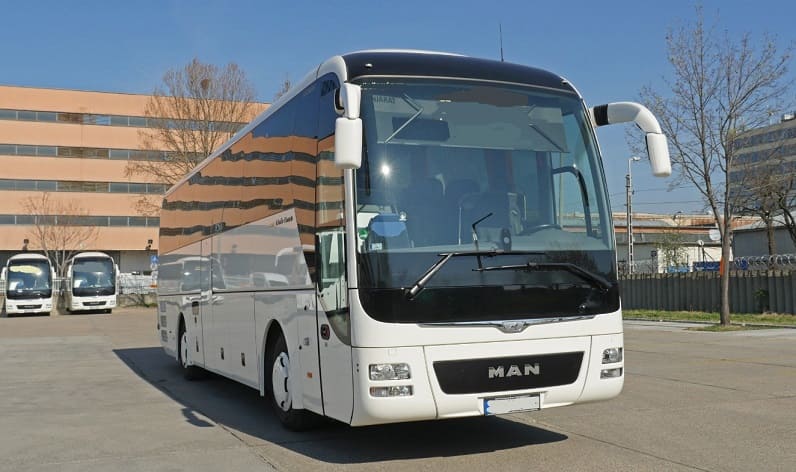 Bern: Buses operator in Spiez in Spiez and Switzerland